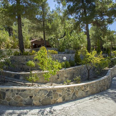 Ricky Chalet Near Troodos Spilia Esterno foto