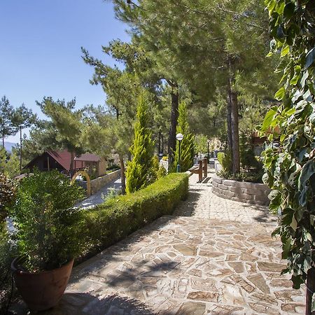 Ricky Chalet Near Troodos Spilia Esterno foto