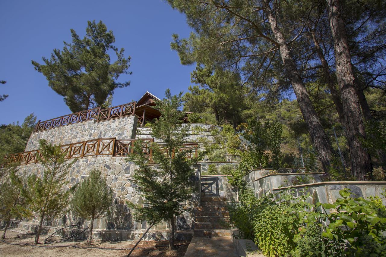 Ricky Chalet Near Troodos Spilia Esterno foto
