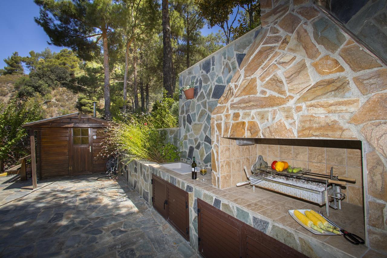 Ricky Chalet Near Troodos Spilia Esterno foto