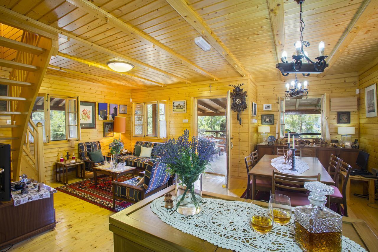 Ricky Chalet Near Troodos Spilia Esterno foto