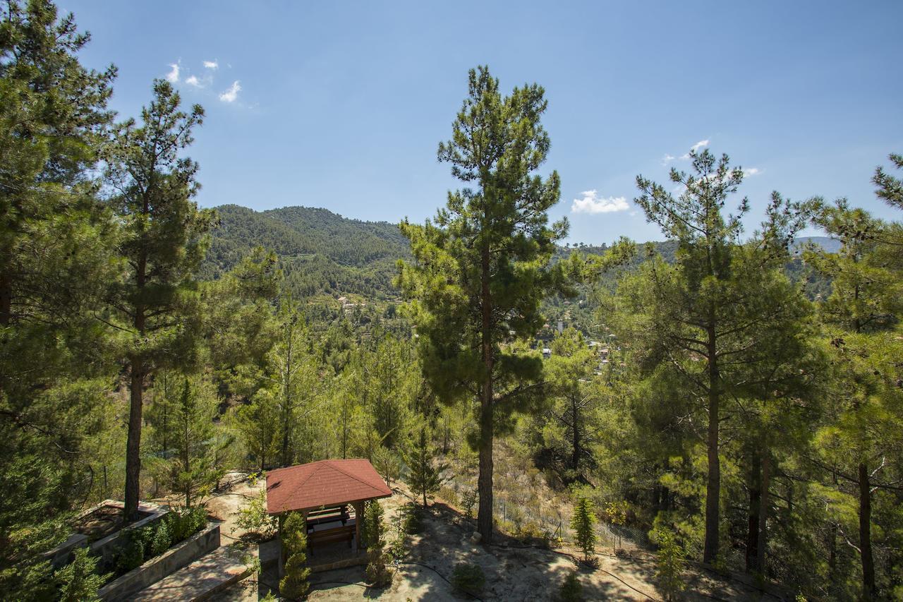 Ricky Chalet Near Troodos Spilia Esterno foto
