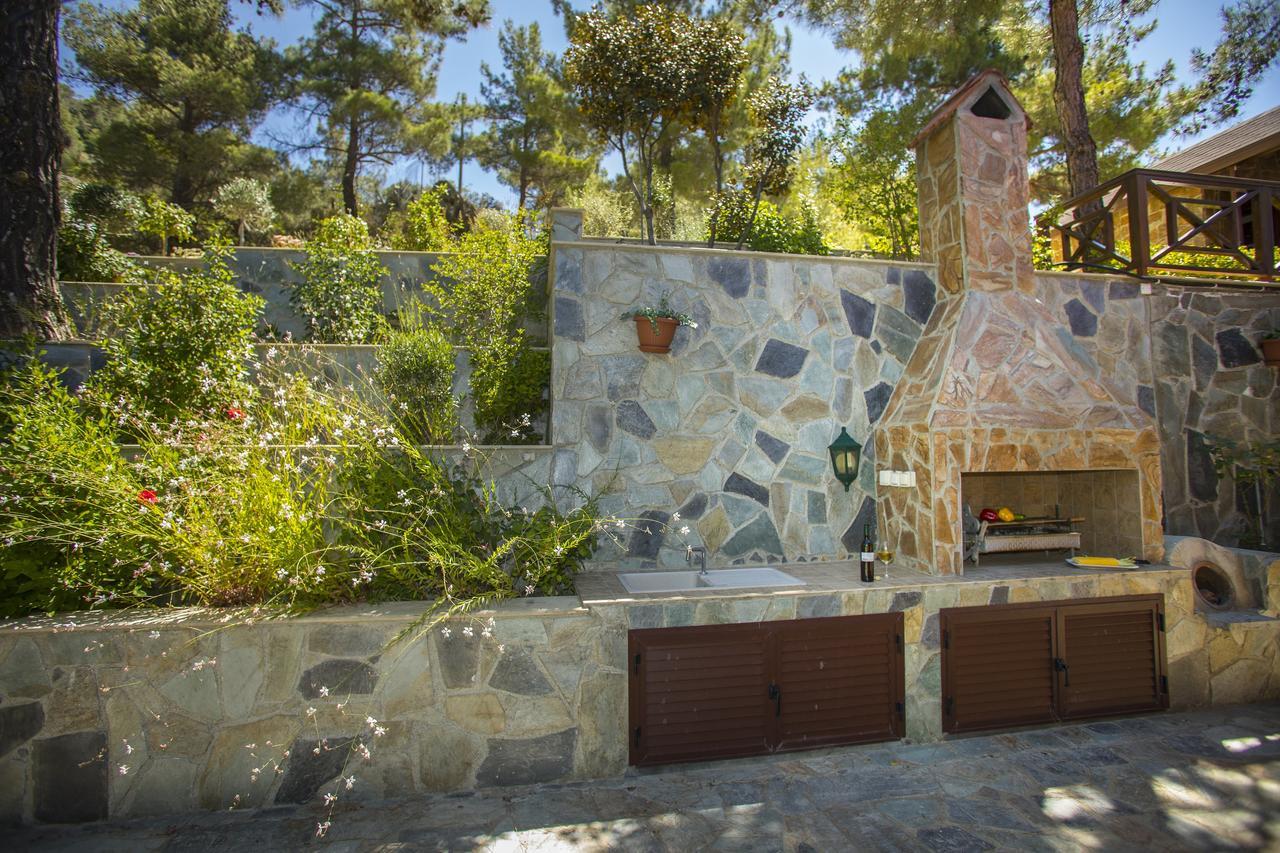 Ricky Chalet Near Troodos Spilia Esterno foto