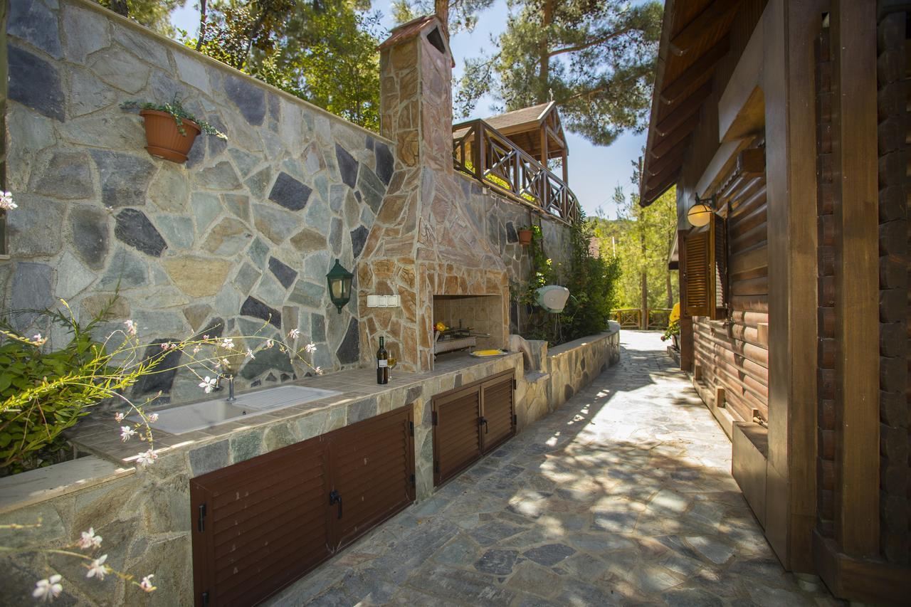 Ricky Chalet Near Troodos Spilia Esterno foto